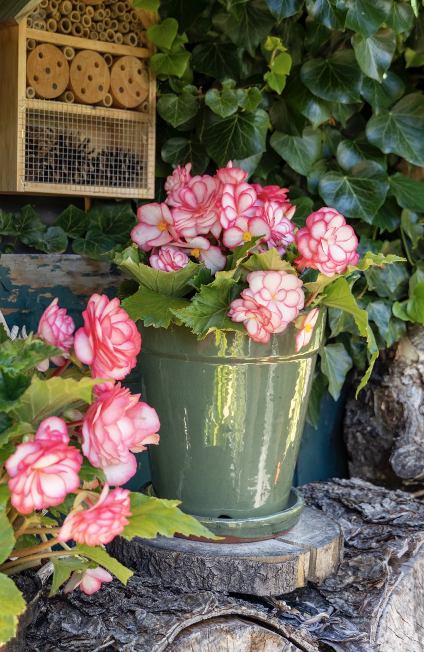 trend-ode-to-nature-outdoor-summer-bulbs