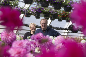 Kuvassa Tarja ja Heikki Lakstedt kasvihuoneessa.