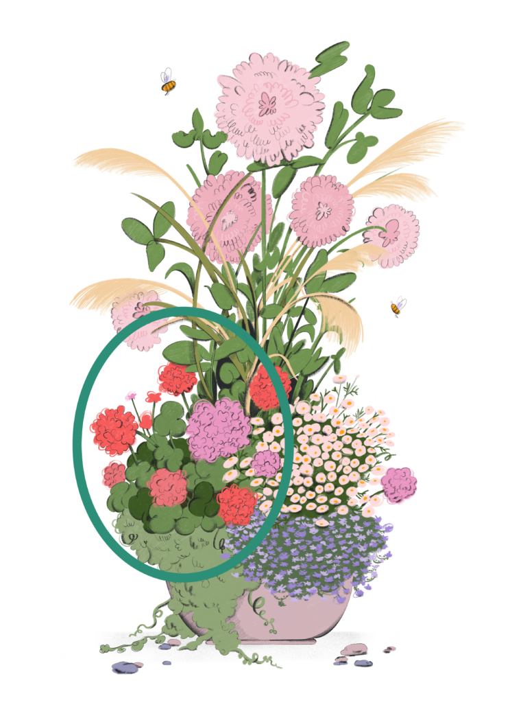 Kuvassa on piirretty kuva istutuksessa. Kuvasta on ympyröity keskellä olevat kukat.