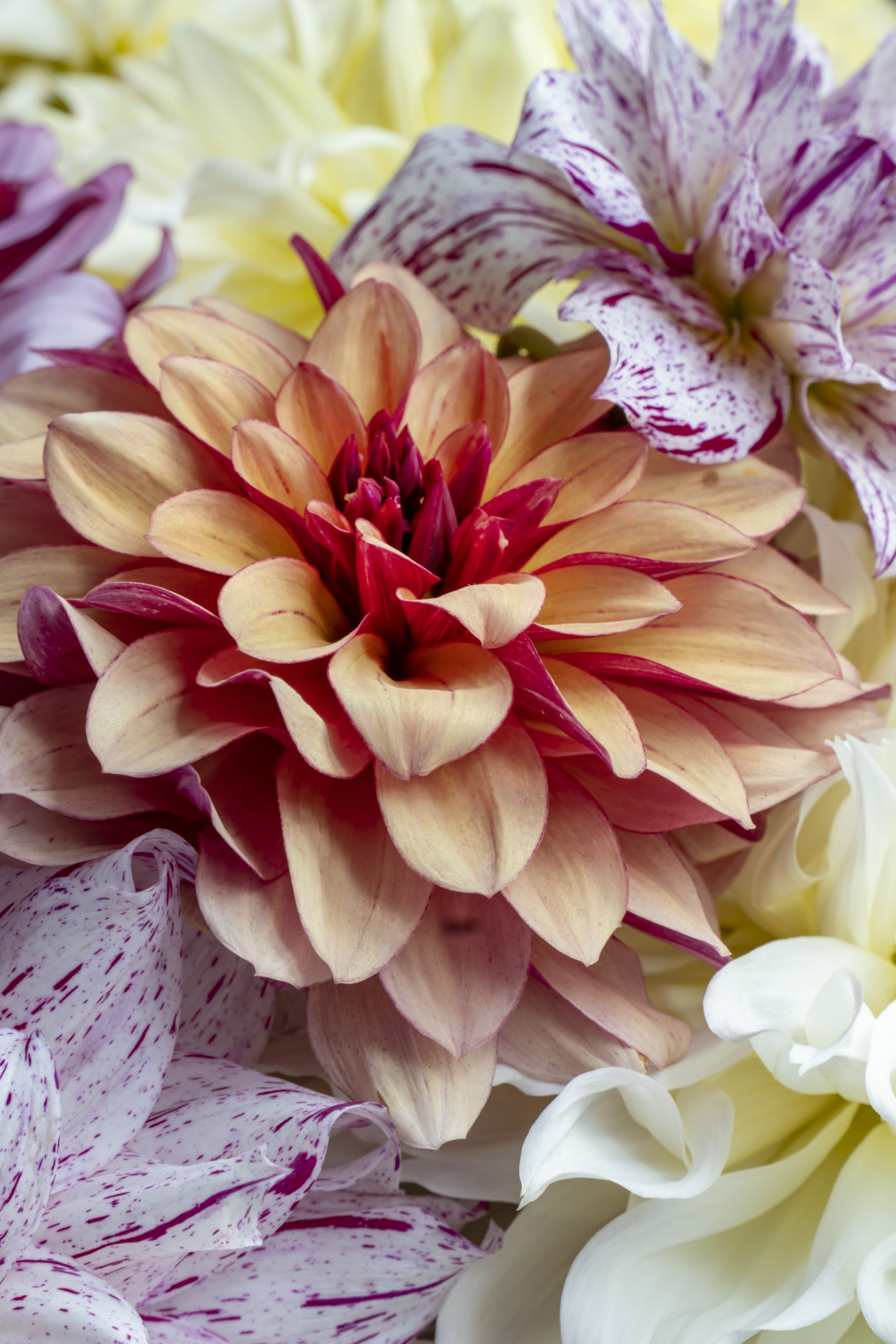 trend-2023_ode-to-nature-_indoor_summer