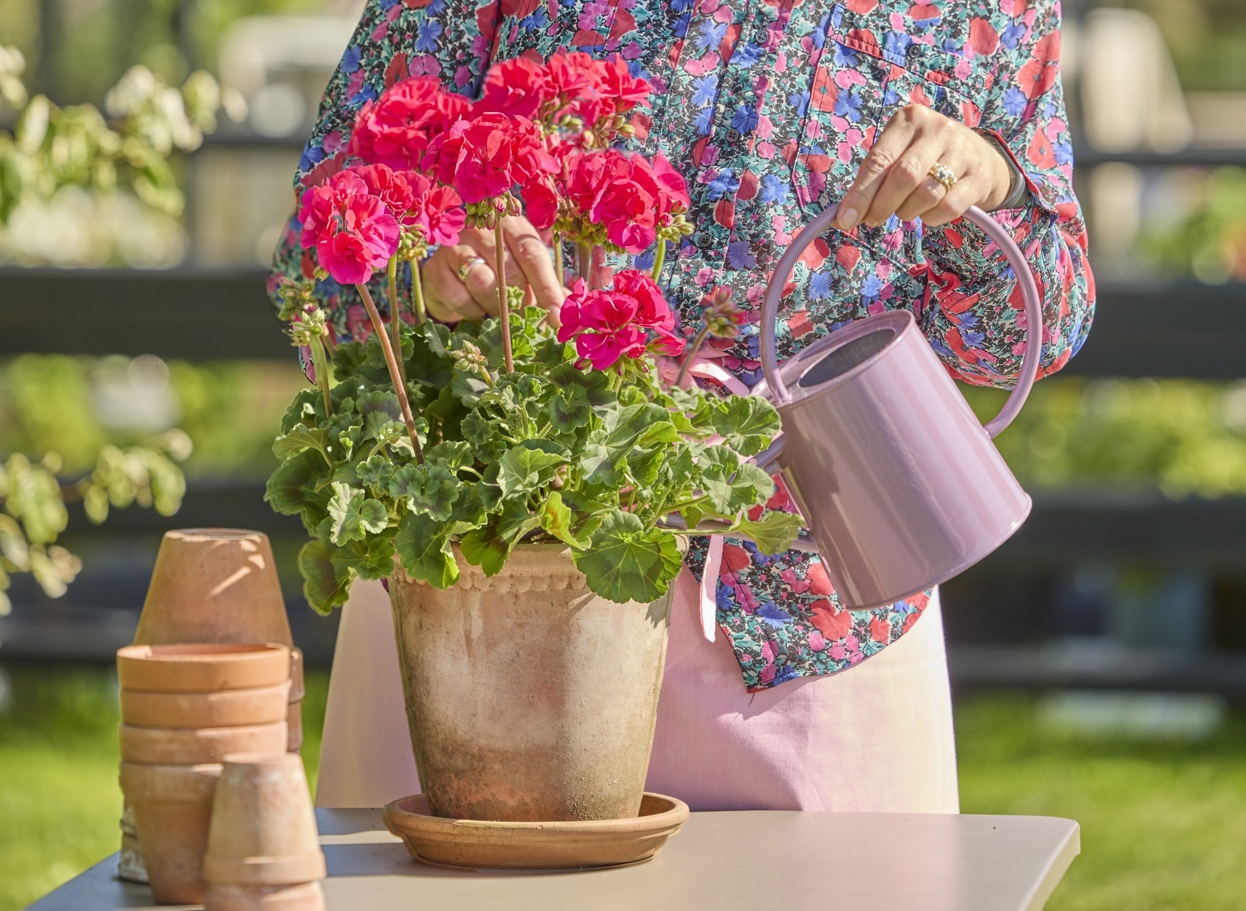 2026_geraniums_2000_urban_life_rural_style_61